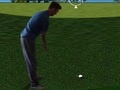 เกม Flash Golf 3D