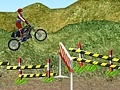 เกม Motorcycle Rally