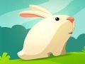 เกม Greedy Rabbit