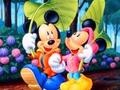เกม Mickey Love-HS