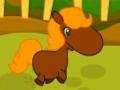 เกม Pony Races