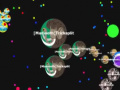 เกม Gota. io 