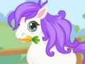 เกม Cutie Pony Care