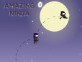 เกม Amazing Ninja