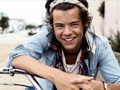 เกม Harry Styles Spot the Difference