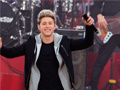 เกม Niall Horan: Spot The Differences