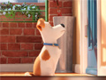 เกม Hidden Letters in The Secret Life of Pets