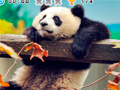 เกม Animal Habitats: Find Items