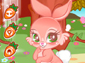 เกม Cute Bunny