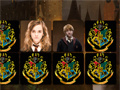 เกม Harry Potter Memo Deluxe