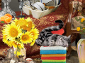เกม Crazy Cat Lady