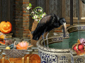 เกม The Witches Curse