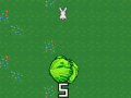 เกม Cabbage Run