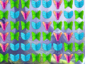 เกม Butterfly Collector
