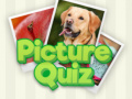 เกม 100 Pics