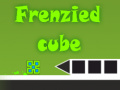 เกม Frenzied Cube