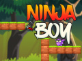เกม Ninja Boy