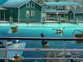 เกม The Fisherman's Curse