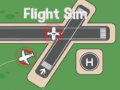 เกม Flight Sim