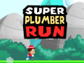 เกม Super Plumber Run