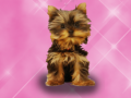 เกม Wash Pets Princess Kids    