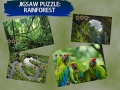 เกม Jigsaw Puzzle Rain Forest 