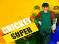 เกม Super Cricket      