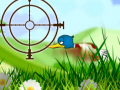 เกม Quack Hunt