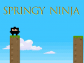 เกม Springy Ninja
