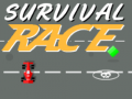 เกม Survival Race
