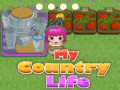 เกม My County Life