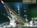 เกม Summer Lake
