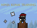 เกม Ninja Kunai Training