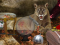 เกม The Secrets of Felwood