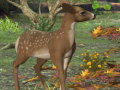 เกม Spot The differences Spring in the Woods
