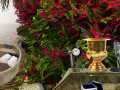 เกม The Prize Winning Garden