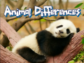 เกม Animal Differences 