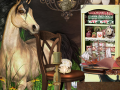 เกม The Destiny Crown