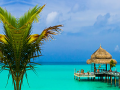 เกม Tropical Paradise