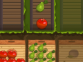 เกม Fruit Gardener
