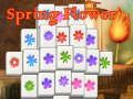 เกม Spring Flower
