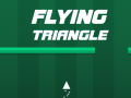 เกม Flying Triangle