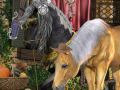 เกม The Ruins of Velaria