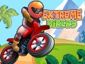 เกม Extreme Bikers