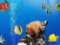 เกม Sea Underwater Difference