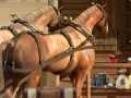 เกม Dangerous Outlaws