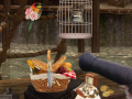 เกม Unknown Island