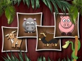 เกม Animal Shapes 3