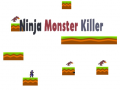 เกม Ninja Monster Killer