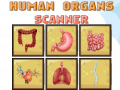 เกม Human Organs Scanner